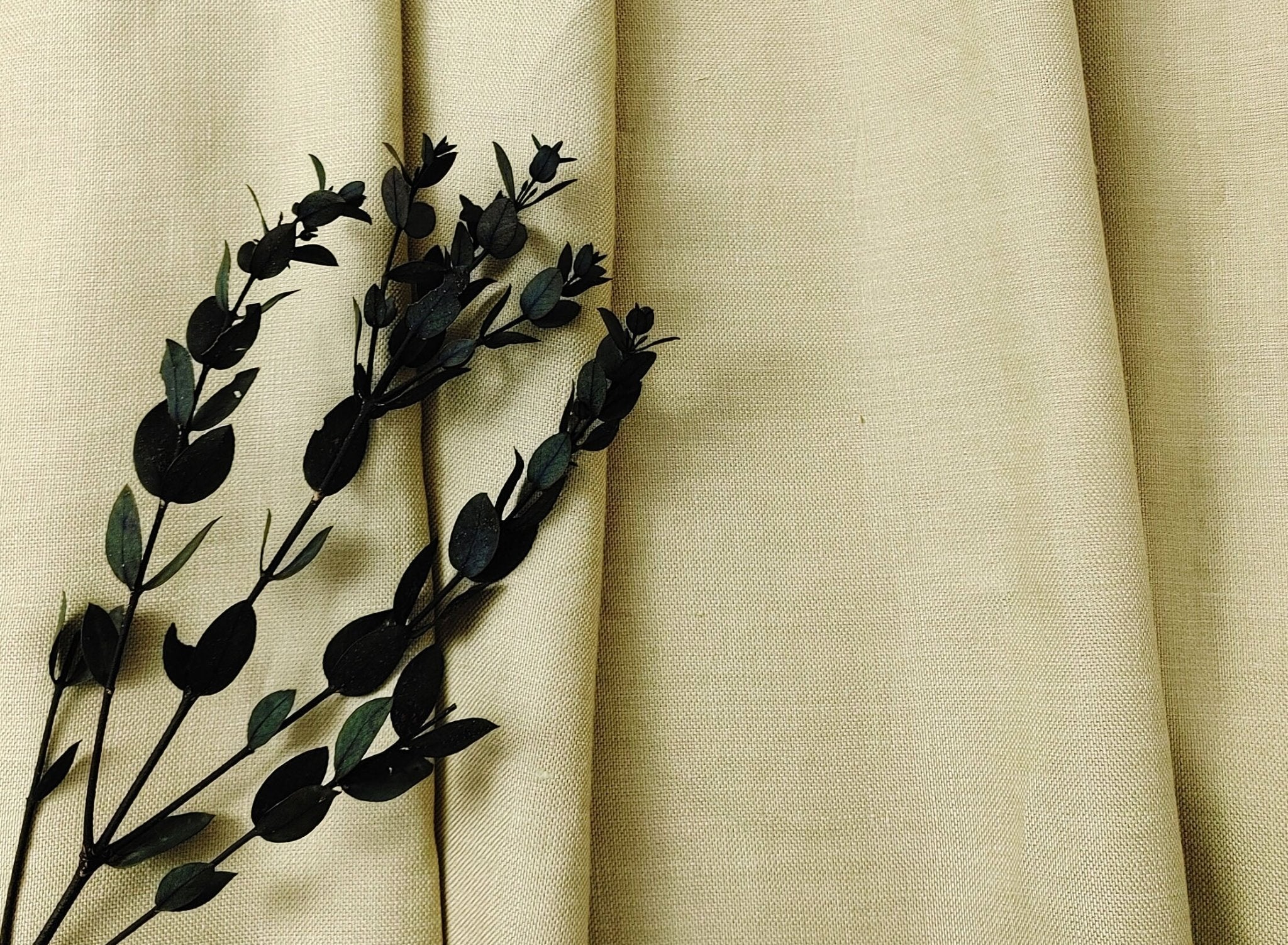 100% Linen Canvas Chambray Fabric 3455 1702 - The Linen Lab - Beige (greenish)